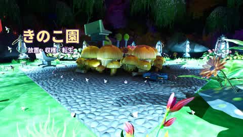 Mushroom Garden: Abandoned, Harvested, and Reincarnated