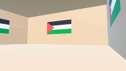 🏆🥇🇵🇸 Box Fight Palestine 🏆🥇🇵🇸