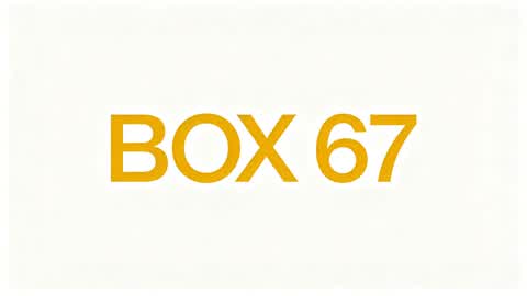 Box Fight 67
