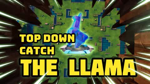 top down Catch the Llama