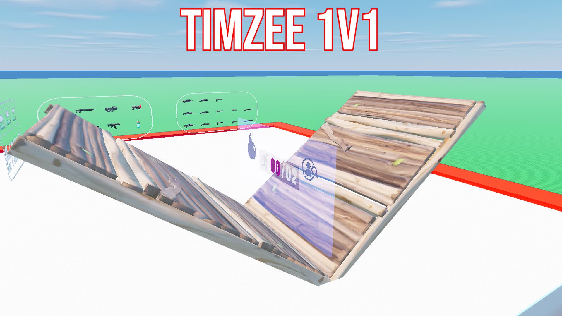 Timzee 1v1