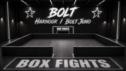 BOLT BOX FIGHT!