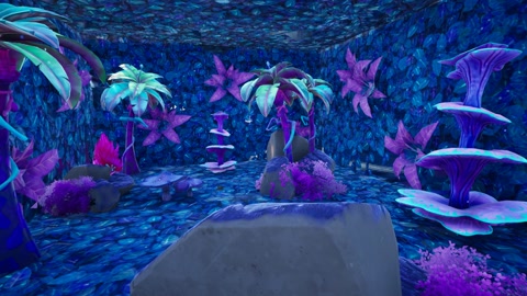 Island image