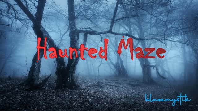 Capture 1 – HAUNTED MAZE