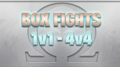 boxfight 2v2/4v4