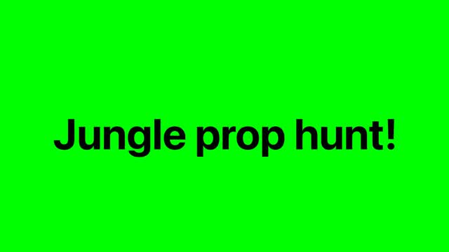 Jungle prop hunt