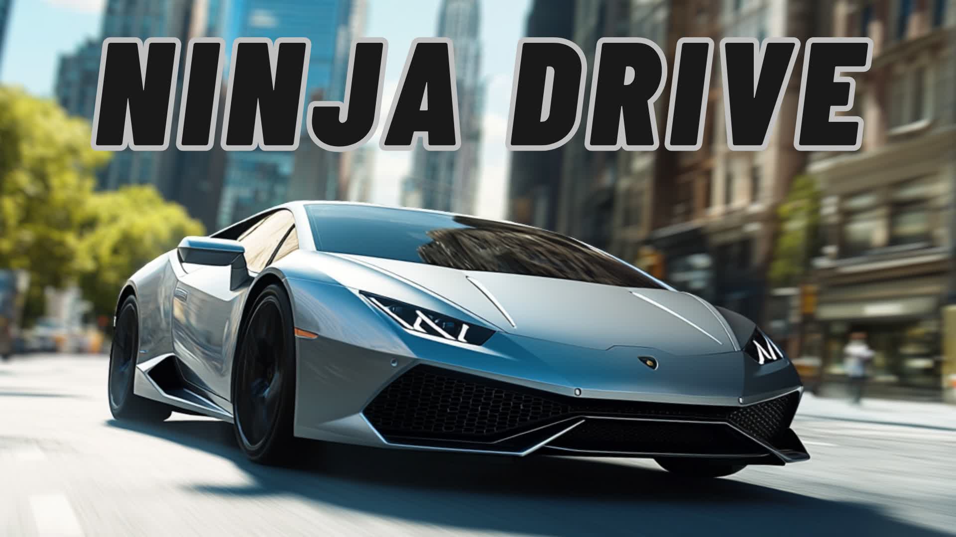 🚗NINJA DRIVE🚗