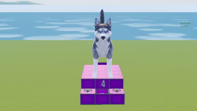 đ¶DogWarsđ¶