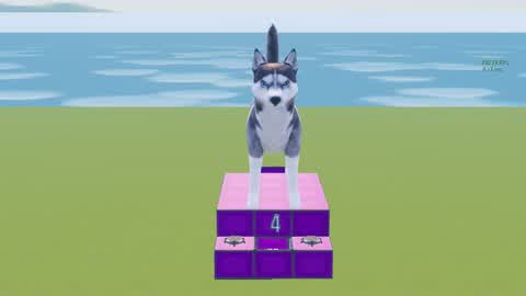 🐶DogWars🐶