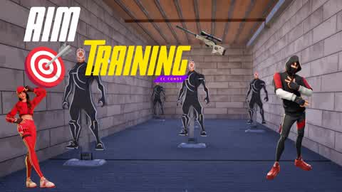 The Aim Training