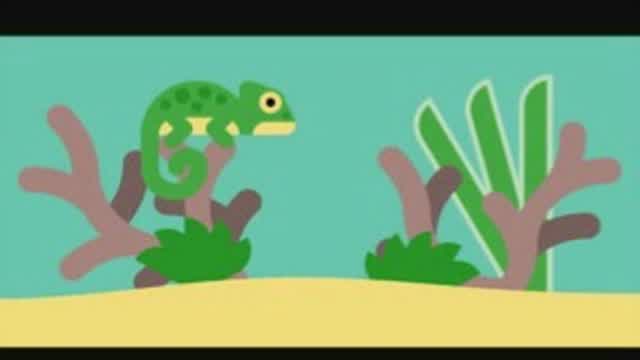 Lizard bowl