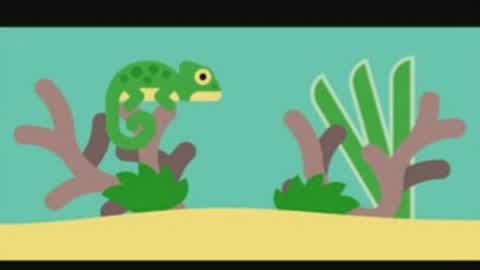 Lizard bowl