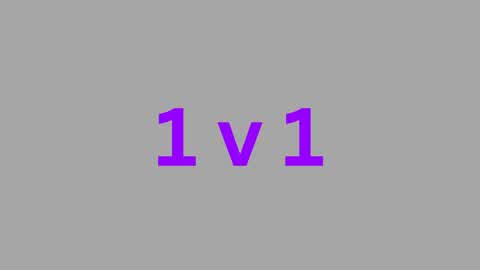 1v1