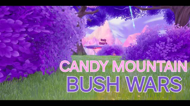 CANDY MOUNTAIN BUSH WARS