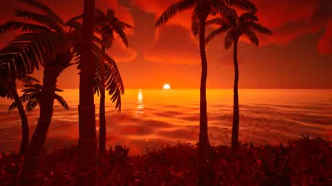 My Beautiful Sunset
