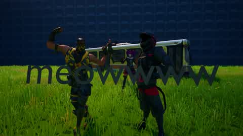 IL MEOW 1V1