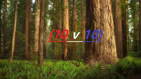 RedWood Forest Sniper OneShot