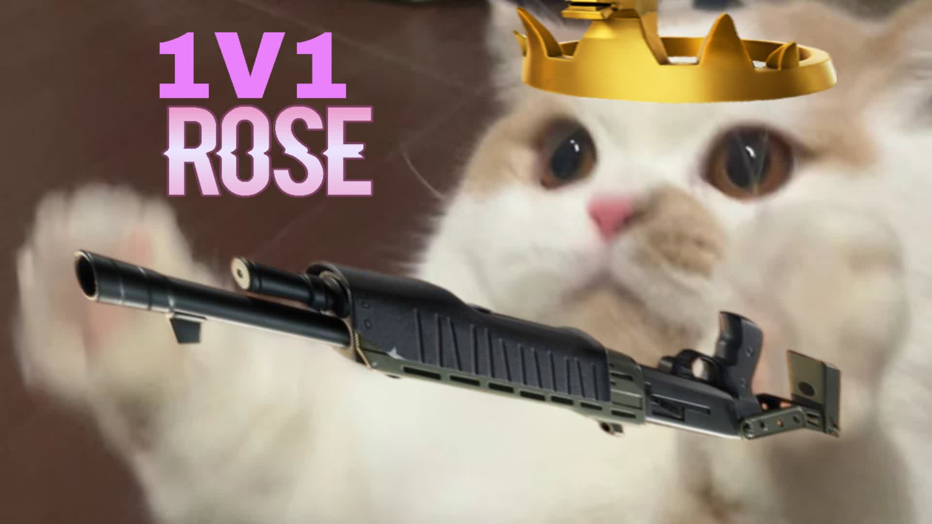 1v1