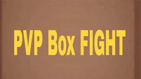 PvP Box FIGHT