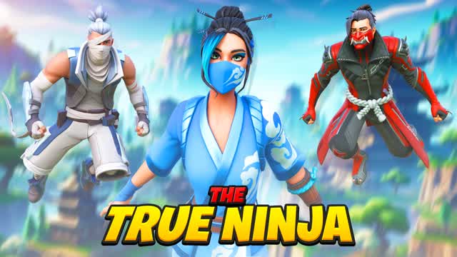 THE TRUE NINJA 🌀