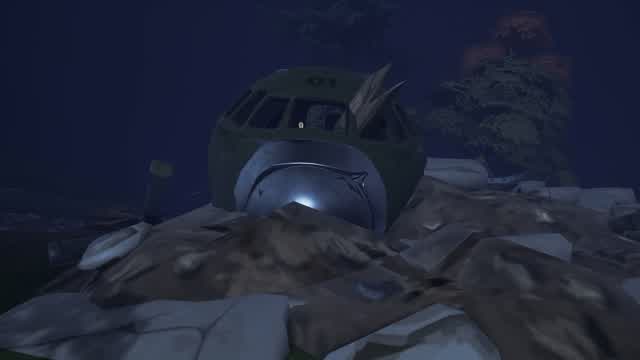 HORROR Crash site