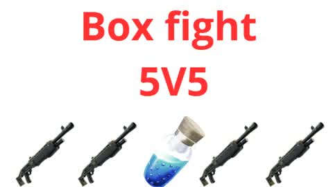 boxfight 5v5