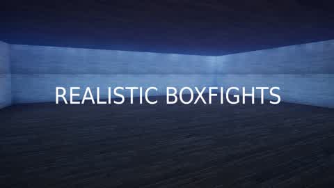 Realistic Boxfights (NEW)