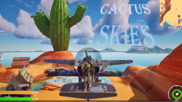 Cactus Skies