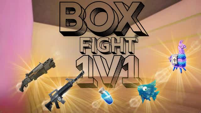 PRO BOX FIGHT