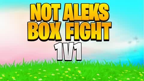 Note Aleks 1v1 BOX FIGHT