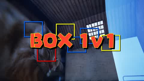1v1 BoxFight 2Player