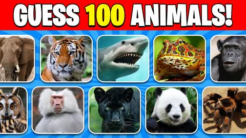 GUESS THE ANIMALS