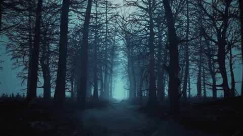 حرب ‏الغابة 67