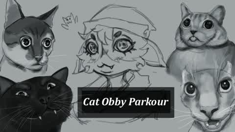 Cat Obby Parkour