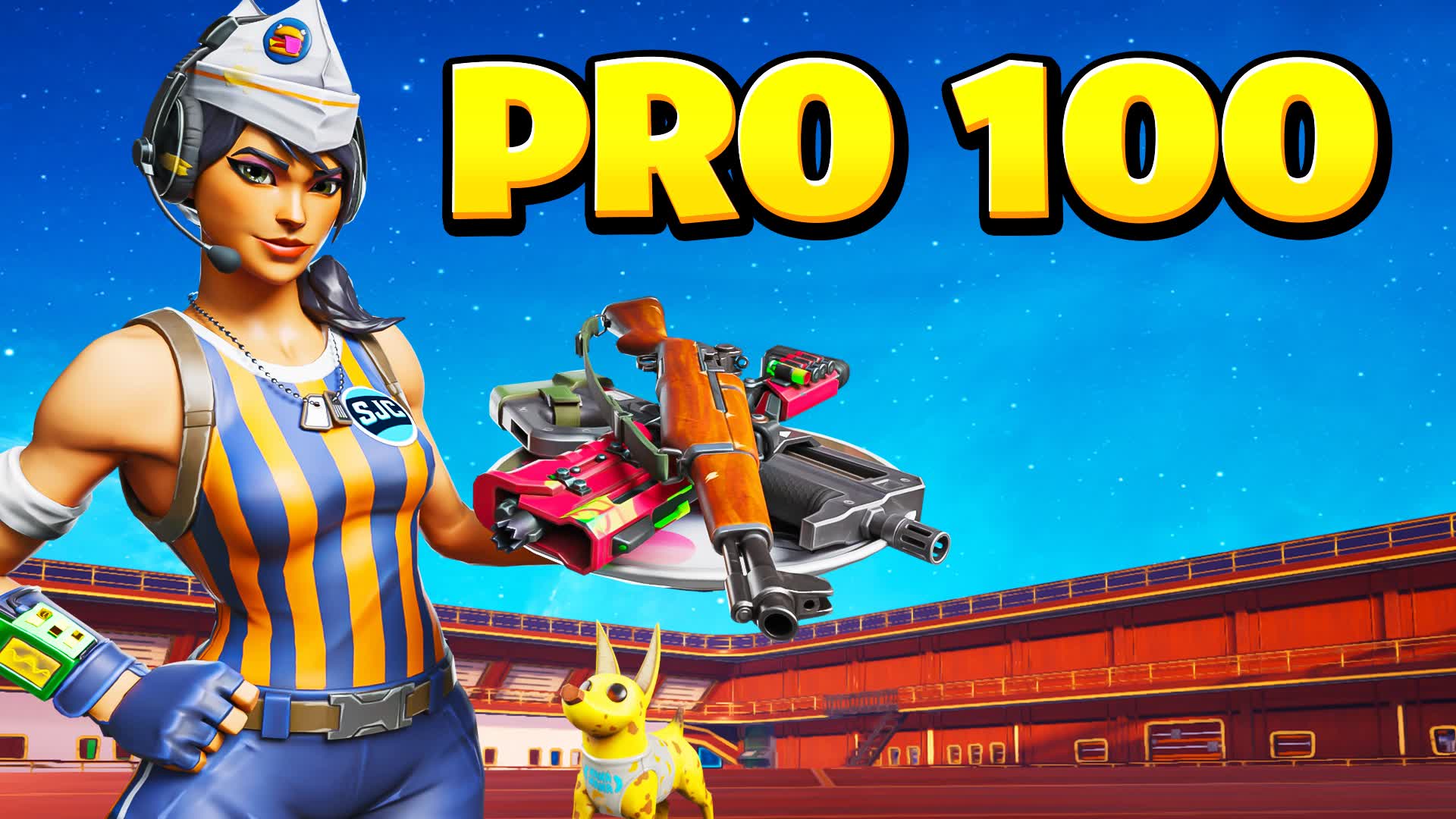 PRO 100 CLASSIC