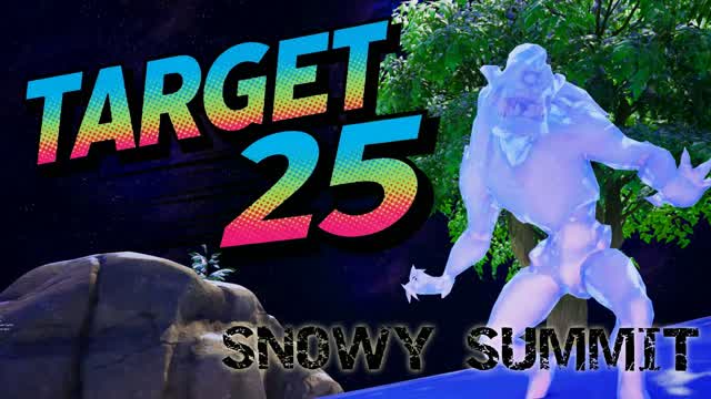 Target 25 - Snowy Summit