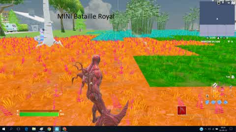 MINI battaille royal