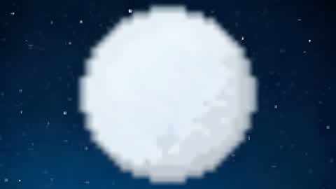 Winter catch royale