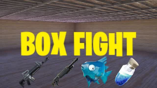 BOX FIGHT