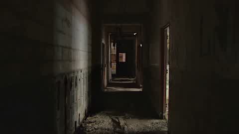 The Asylum 1v1