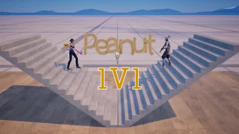 PEANUT 1V1