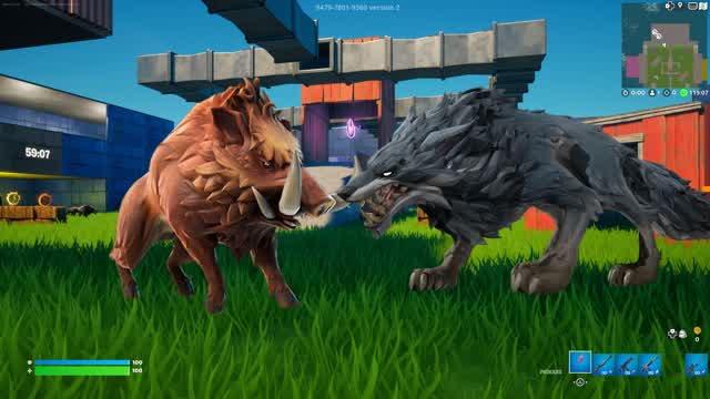 Capture 1 â DOGSđș VS HOGSđ