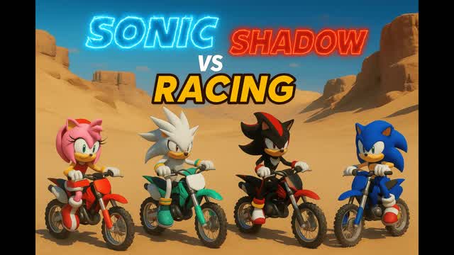 🏁 Sonic vs Shadow Racing 🏁