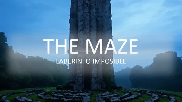 The Maze
