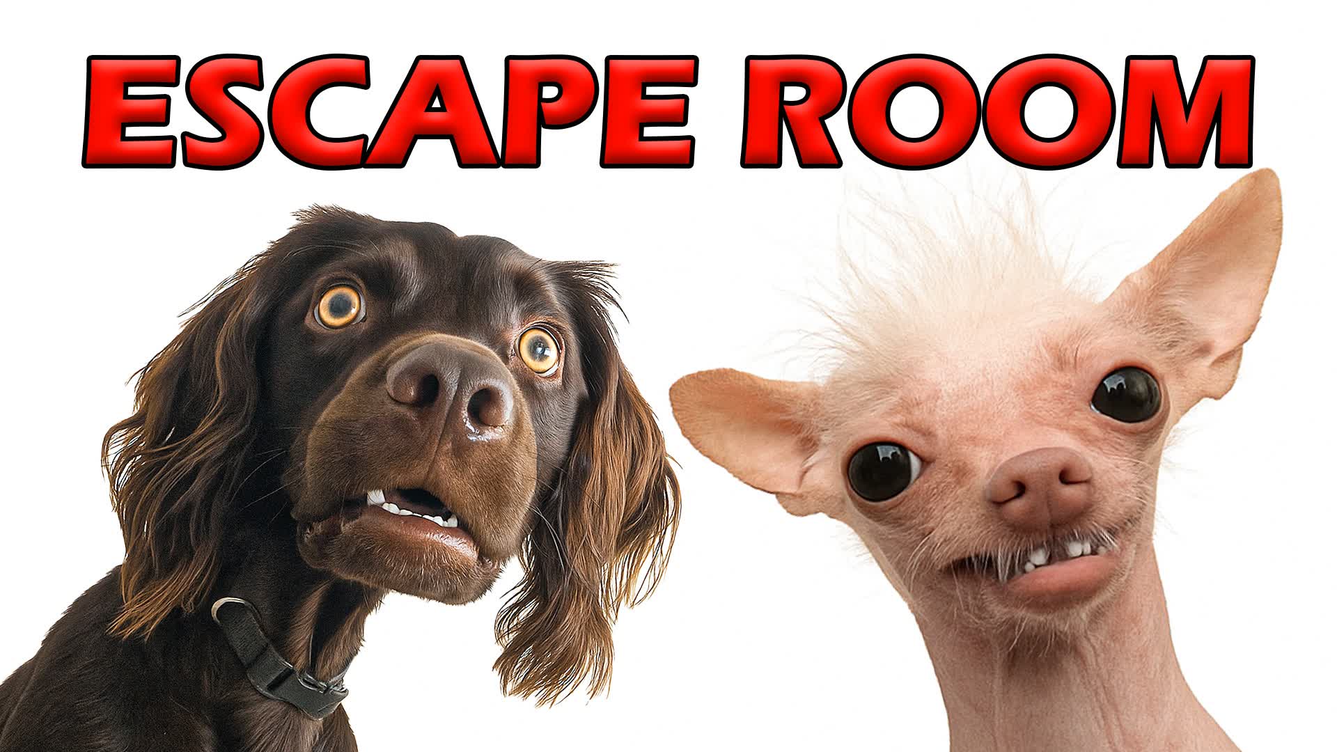 🧠 ESCAPE ROOM 🚪 BRAINROT MEMES