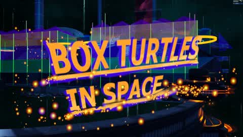 BOXTURTLESINSPACE