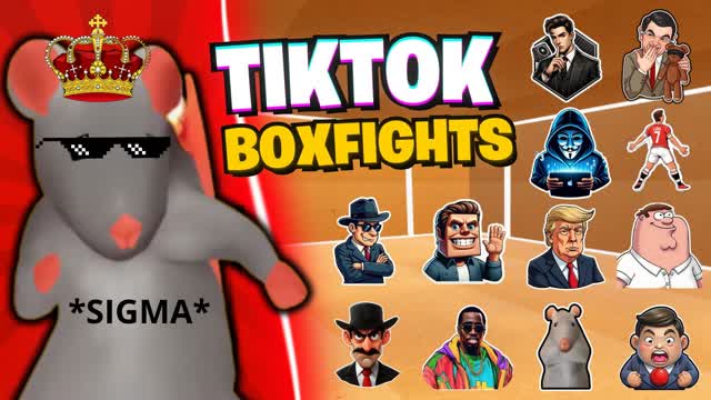 đ SIGMA TIKTOK BOXFIGHTS đŠ