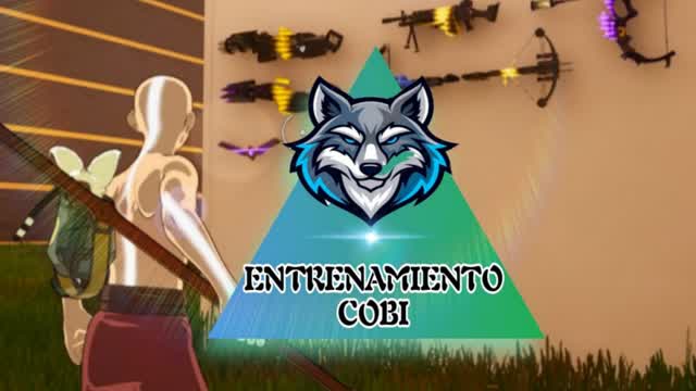 ENTRENAMIENTO COBI