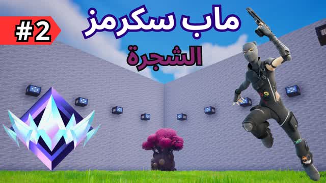 سكرمز الشجرة 2🌳