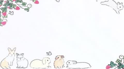 bunny 🐇